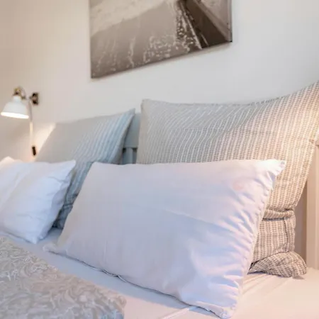 Waterkant Mit Hund *